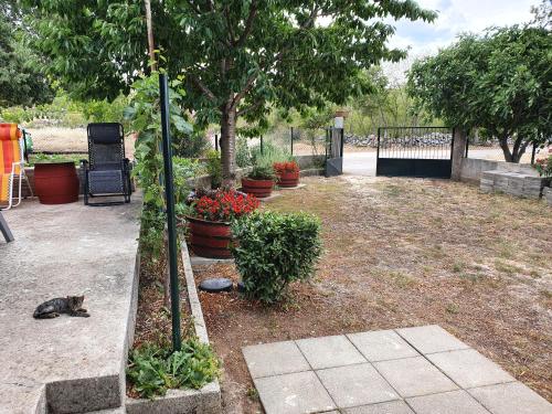a cat laying on the ground in a yard with plants at Country House Iva in Trbounje