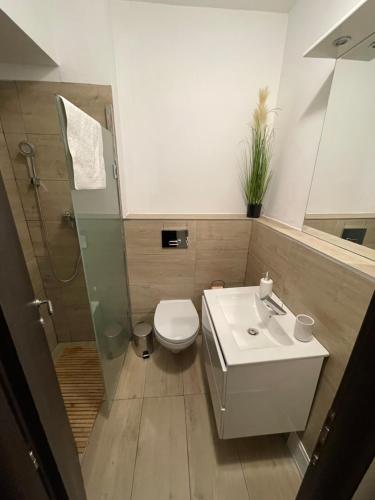 ein Badezimmer mit Toilette, Waschbecken und Dusche in der Unterkunft Savoya5 Old CityCenter Selfcheckin WorkspaceStudio in Timişoara