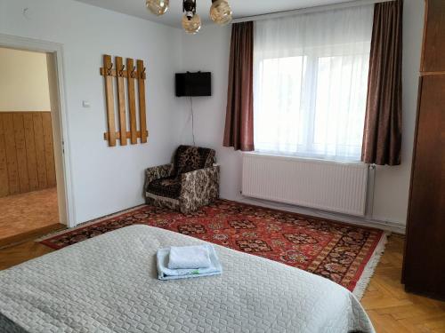 a bedroom with a bed and a chair and a window at Casa Alba in Fundata
