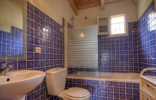 La salle de bains est pourvue de carrelage bleu, de toilettes et d'un lavabo. dans l'établissement Gîte à Piscia de Figari Petru Barbara, à Figari