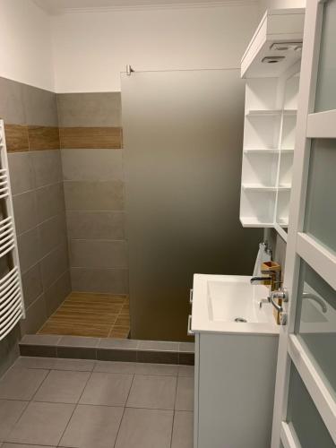 a bathroom with a shower with a white sink at Pogánykő Vendégház 1 in Pákozd