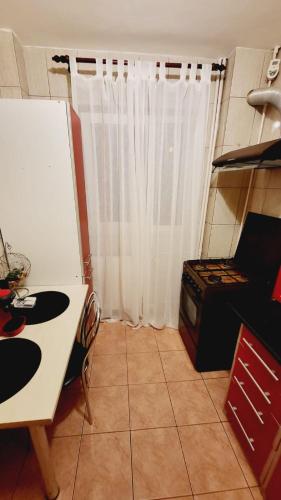 Η κουζίνα ή μικρή κουζίνα στο Bucharest Great Luxury ApartHotel ParkLake