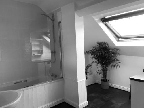 a bathroom with a shower and a toilet and a plant at Haddock Hideaway by the Sea in Scarborough