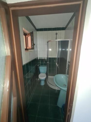 a green bathroom with a toilet and a sink at Casa Beatrice in Eşelniţa