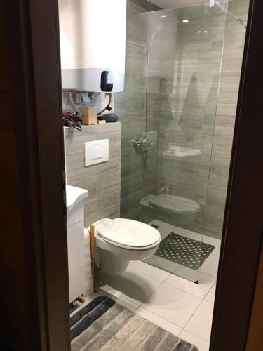 a bathroom with a toilet and a glass shower at Etno selo Rasinski Lug in Ravni