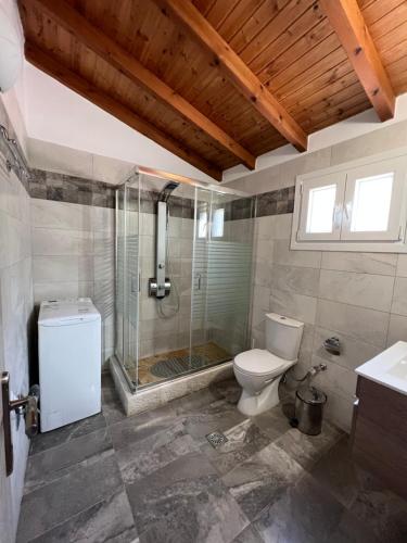 a bathroom with a shower and a toilet and a sink at Votsalo Pool Apts in Kalami