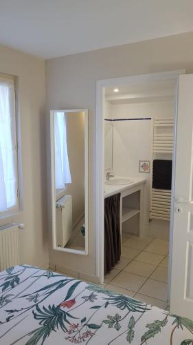 une chambre avec un lit, un lavabo et un miroir dans l'établissement Le Malpas Kingfisher, à Belvès