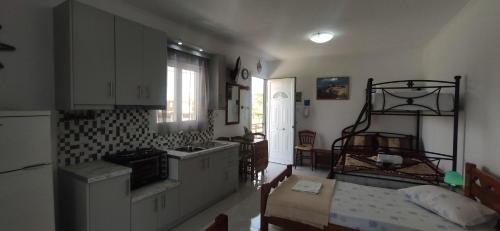 Η κουζίνα ή μικρή κουζίνα στο Kostas Apartments