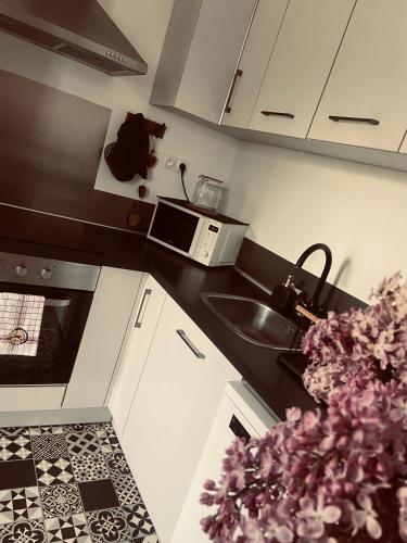 une cuisine avec un évier et un micro-ondes dans l'établissement Ferme des p’tits loups, à Soindres