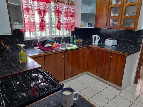 een keuken met een fornuis bovenoven naast een gootsteen bij Montego Bay westgate Hills jamaica Melrose place in Montego Bay
