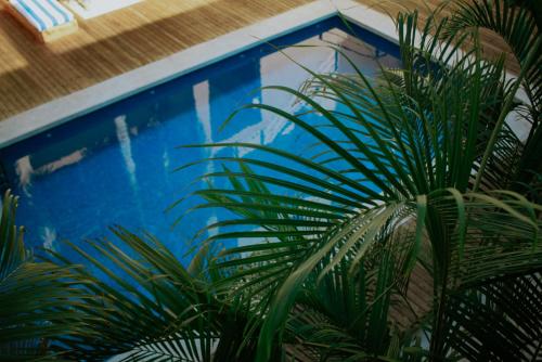 a blue wall with a palm tree in front of it at Hotel Casa Tota in Todos Santos