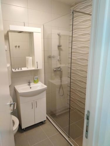 a bathroom with a shower and a sink and a toilet at Domenica Apartment in Novi Sad