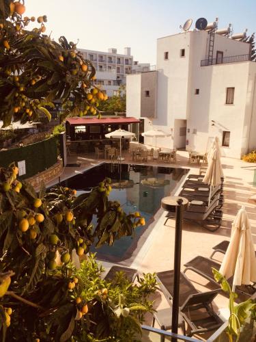 an outdoor swimming pool with an orange tree and umbrellas at Orya Aparts in Gümbet