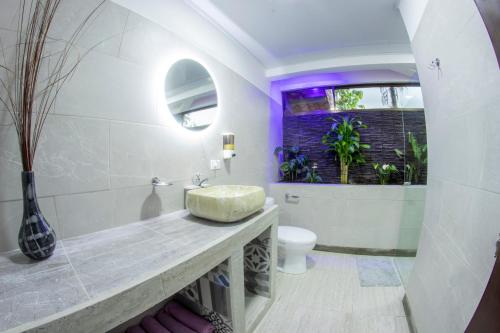 a bathroom with a sink and a toilet and a window at Residencias Arenal in Fortuna