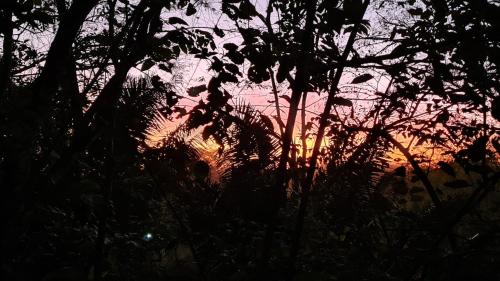 Finca Lucky, Samara – Photos 3
