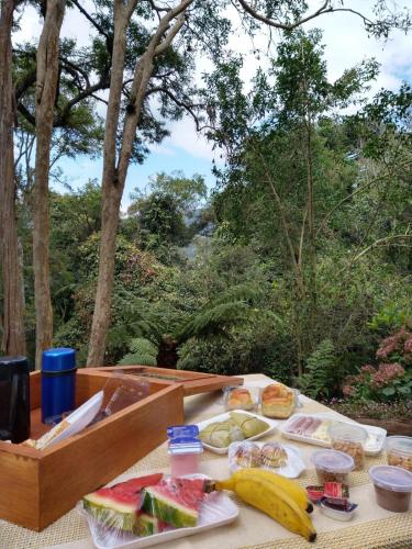 een tafel met veel eten erop bij Pousada Estrela da Serra in Monte Verde