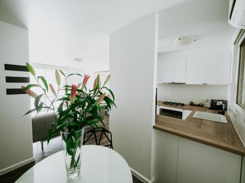 Una cocina o zona de cocina en SoYa Apartment Hotel