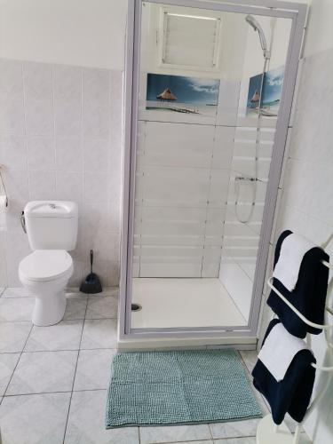 a bathroom with a shower and a toilet at Villaventure in Le Vauclin