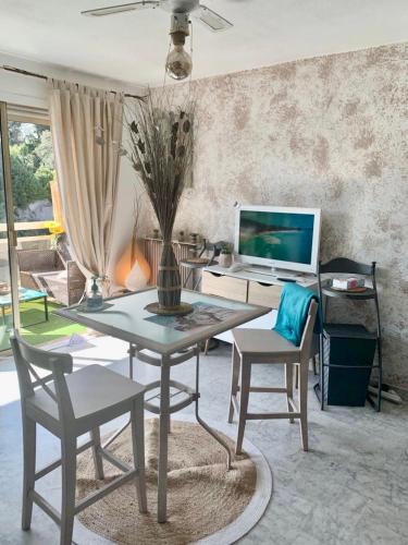 Luxurious Studio in Cannes 450m from sea with Terrace and Air Conditioning and private Parking