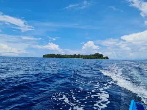 a boat in the water with an island in the distance at Wai Resort - Raja Ampat in Pulau Birie
