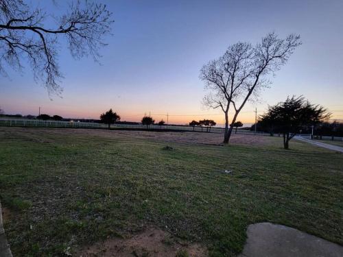 a field of grass with two trees in the distance at Modern 10 Acre Horse Ranch-Walk to Lake Ray Robert in Pilot Point