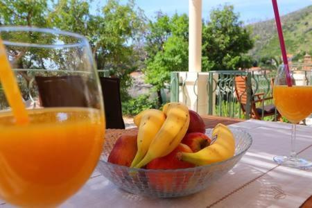 a bowl of fruit on a table with two glasses of orange juice at Apartments Seafront Silence in Trstenik