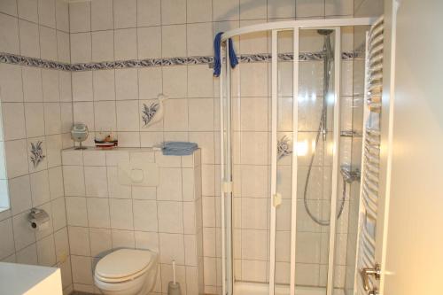 y baño con ducha y aseo. en Ferienhaus am Meer Katharinenhof, en Katharinenhof