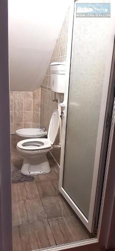 a bathroom with a toilet and a shower stall at Smeštaj PETRONIJEVIĆ Bajina Bašta in Bajina Bašta