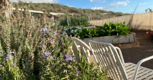 Κήπος έξω από το Finca Gaia La Segunda