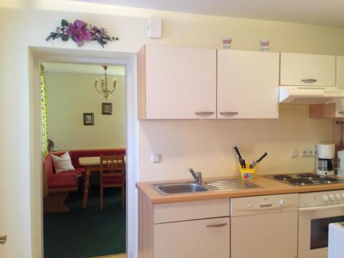 Η κουζίνα ή μικρή κουζίνα στο Appartements im Forsthaus