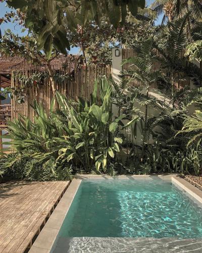 a swimming pool in the middle of a garden at Frangipani El Nido in El Nido
