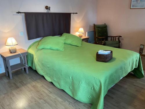 a bedroom with a green bed with two lamps and a chair at Chambres, Table d'Hôtes et Gites Les Mesanges in Saint-Jean-de-Sauves