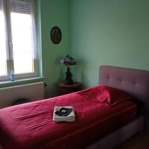een slaapkamer met een rood bed met een hoed erop bij Sweet home vintage in Charleroi