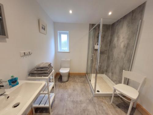 y baño con ducha, lavabo y aseo. en Helmsdale Lodge Hostel - all rooms en-suite, en Helmsdale