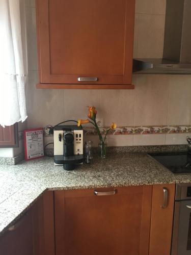 瓦倫薩的住宿－St Peter Cottage，厨房柜台配有烤面包机和鲜花花瓶