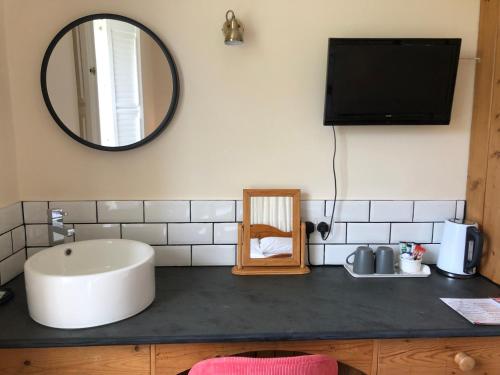 a bathroom counter with a sink and a mirror at Giltar Grove Country House in Tenby