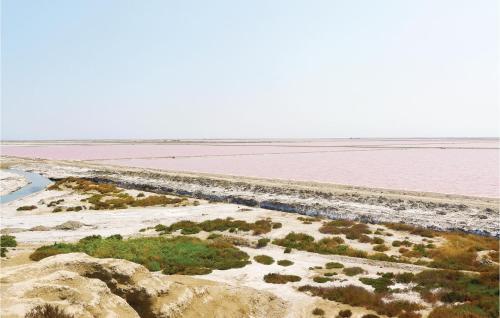 a large body of water with pink water at Le Jardin in Le Sambuc