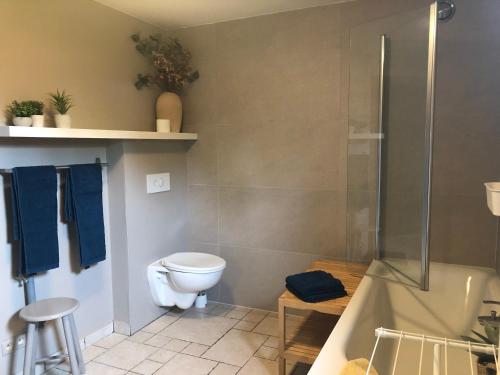 łazienka z prysznicem, toaletą i wanną w obiekcie Au Coeur des Collines, Charmette w mieście Ellezelles