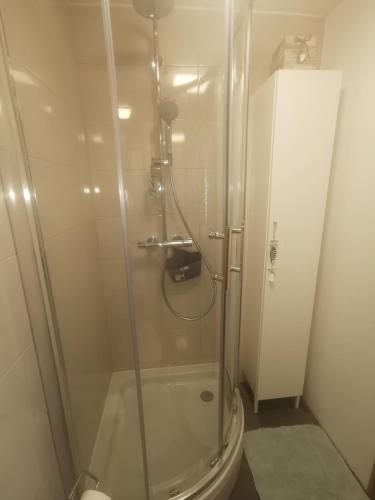 a shower with a glass door next to a toilet at LEA in Bakarac