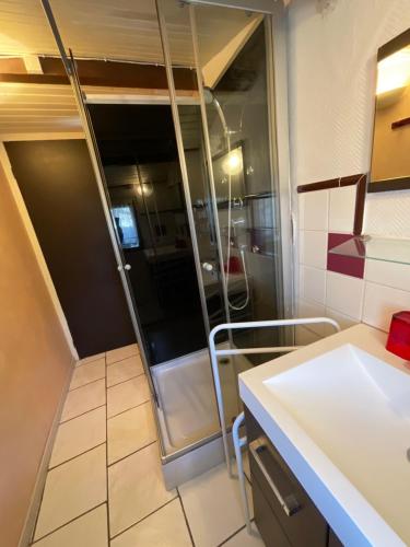 a kitchen with a shower and a white counter at Chambres, Table d'Hôtes et Gites Les Mesanges in Saint-Jean-de-Sauves
