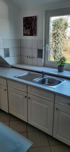 Η κουζίνα ή μικρή κουζίνα στο Ferienwohnung Blütenblick