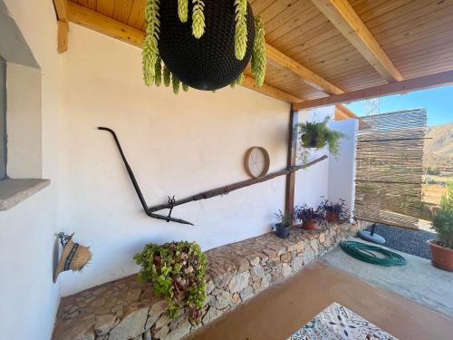 un patio con plantas y un reloj en la pared en La Casita de la Era, en Betancuria