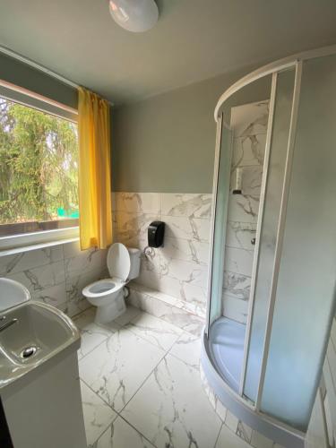 een badkamer met een douche, een toilet en een wastafel bij Hotel Houštka in Brandýs nad Labem-Stará Boleslav