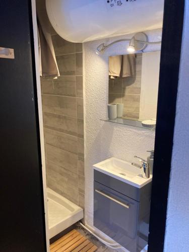 une petite salle de bain avec un lavabo et un miroir dans l'établissement les glovettes Villard de lans, à Villard-de-Lans