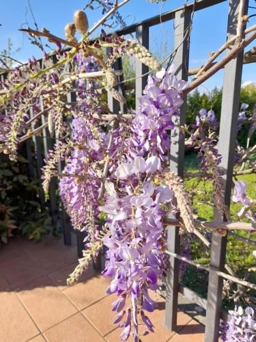 Jardín al aire libre en LA TERRAZZA DI OTTO