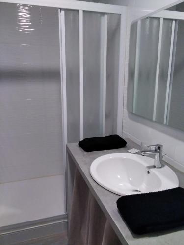 La salle de bains est pourvue d'un lavabo, d'un miroir et d'une douche. dans l'établissement Beyrie Coustille, 