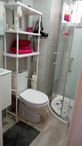 a bathroom with a white toilet and a shower at Habitación con baño privado en piso familiar in Alicante