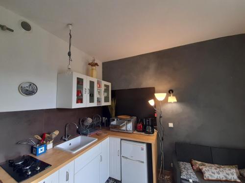 a small kitchen with a sink and a counter at Le gîte du Tarn in Aguessac