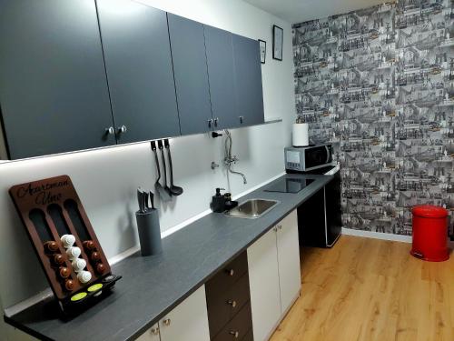 a kitchen with a counter top and a microwave at Apartman Uno in Osijek