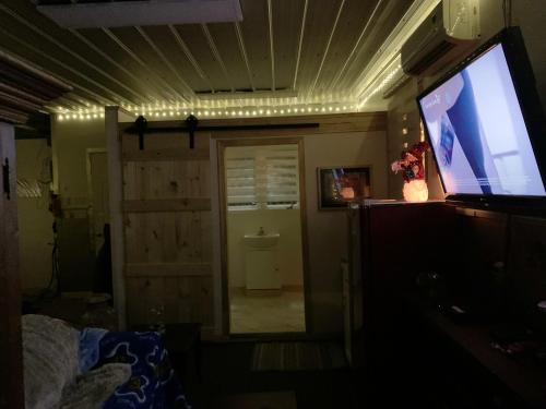 Телевизор и/или развлекательный центр в Cozy studio in Masson-Angers, 800 m² with view